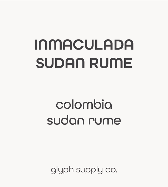 *Filter - Inmaculada (Sudan Rume) Colombia