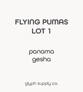 *Filter - Flying Pumas Lot 1 Panama